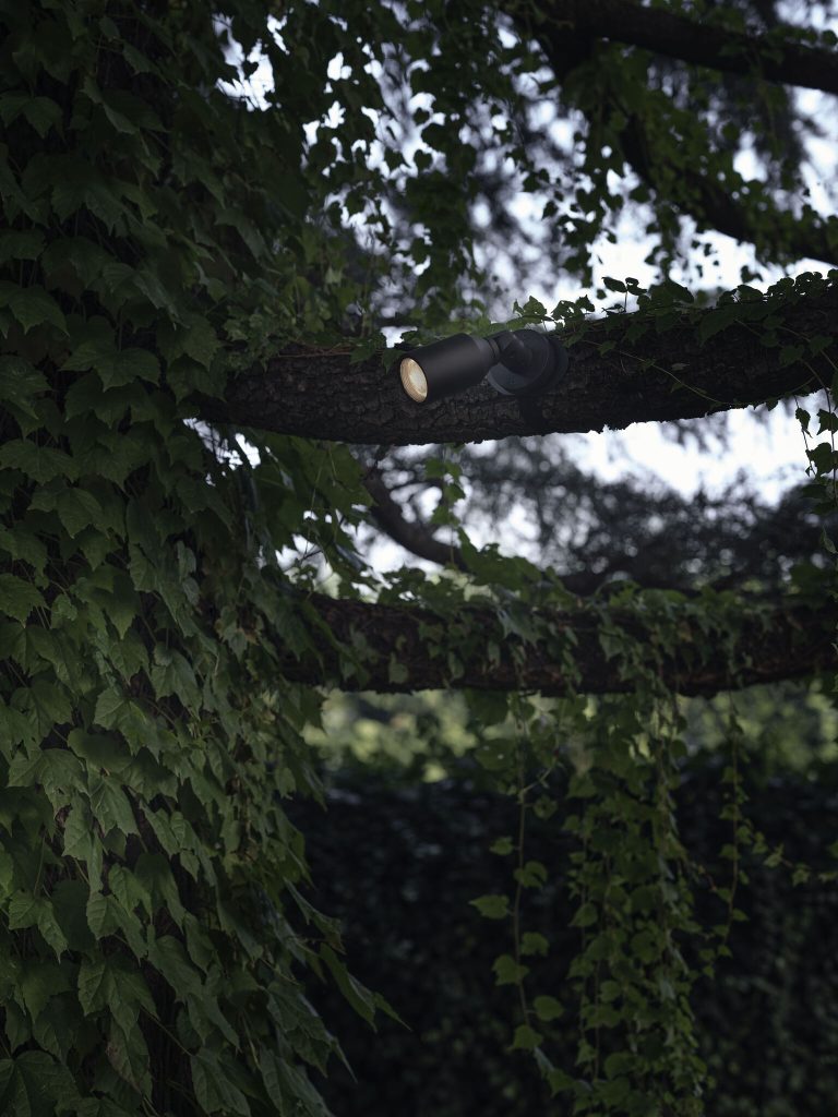 Tree spot